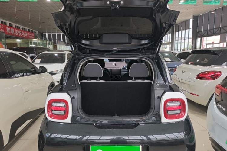Used ORA Black Cat 2021 301 km Basic Version Trunk