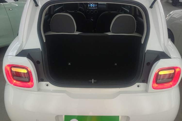 Used ORA Black Cat 2021 301 km Basic Version Trunk