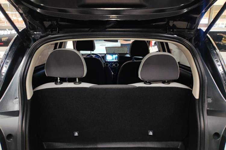 Used ORA Black Cat 2021 301km Cute Pet Edition Trunk