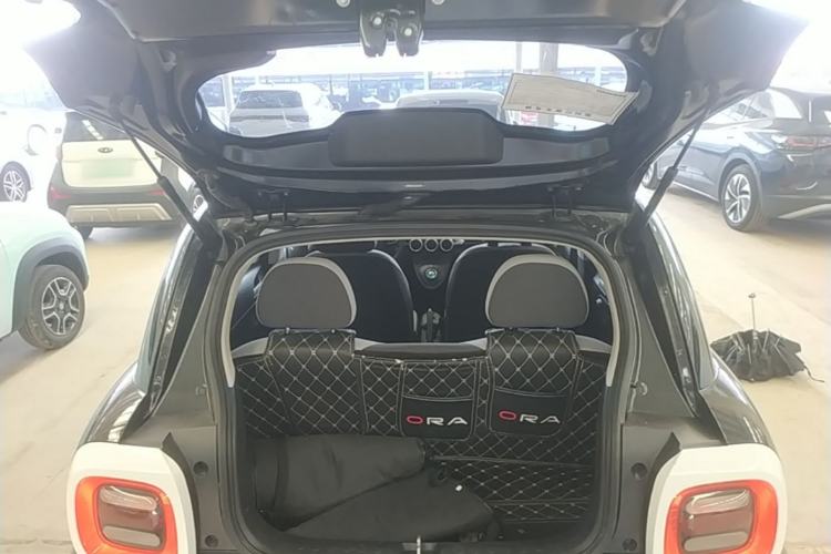 Used ORA Black Cat 2021 301 km Basic Version Trunk