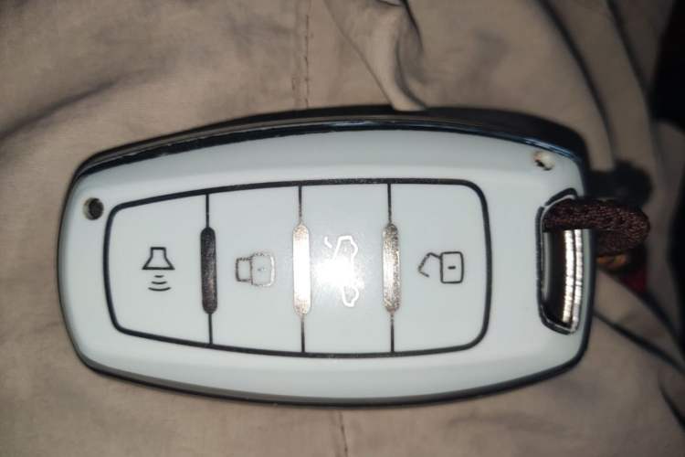 Used ORA Black Cat 2021 301 km Basic Version Vehicle Key