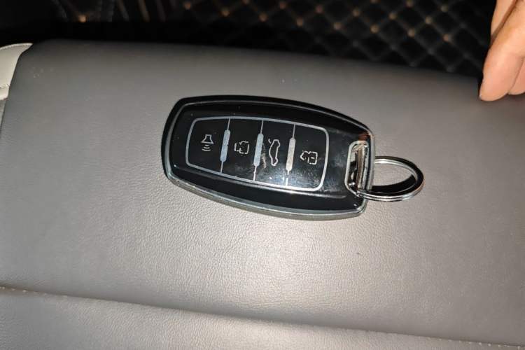 Used ORA Black Cat 2021 351 km Luxury Version Vehicle Key