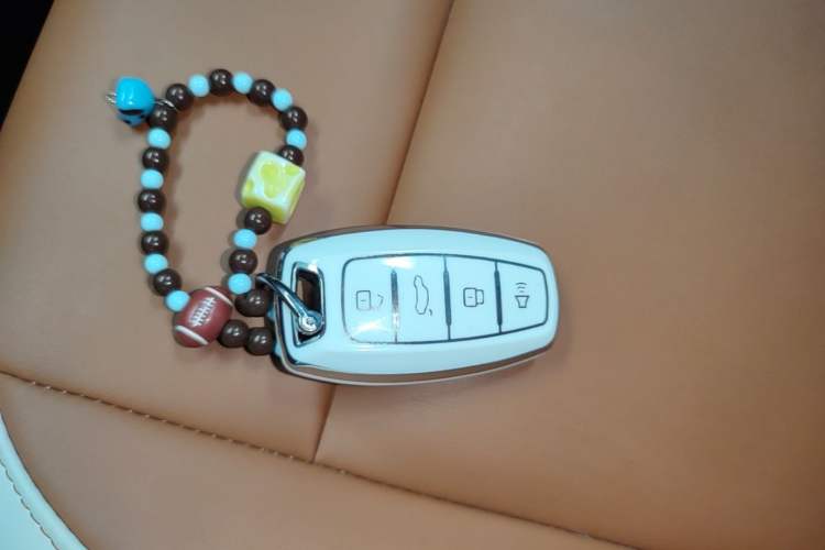 Used ORA Black Cat 2021 351 km Standard Version Vehicle Key