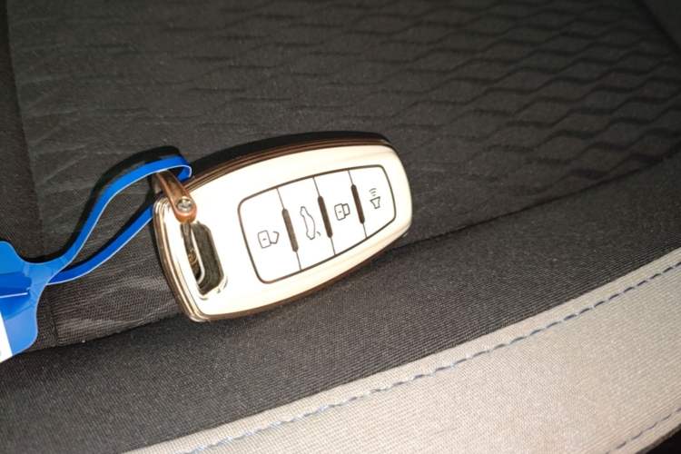 Used ORA Black Cat 2021 301 km Basic Version Vehicle Key