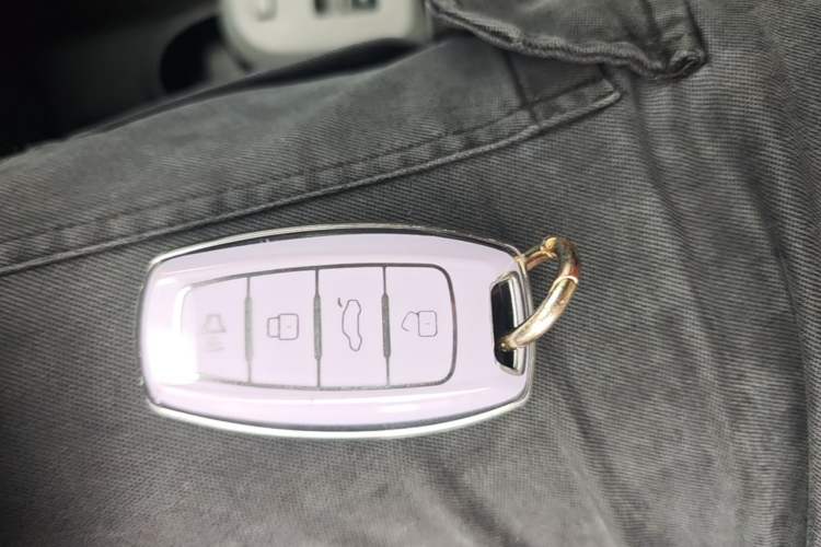 Used ORA Black Cat 2021 301 km Basic Version Vehicle Key