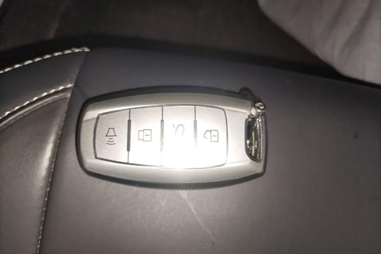 Used ORA Black Cat 2021 301km Cute Pet Edition Vehicle Key