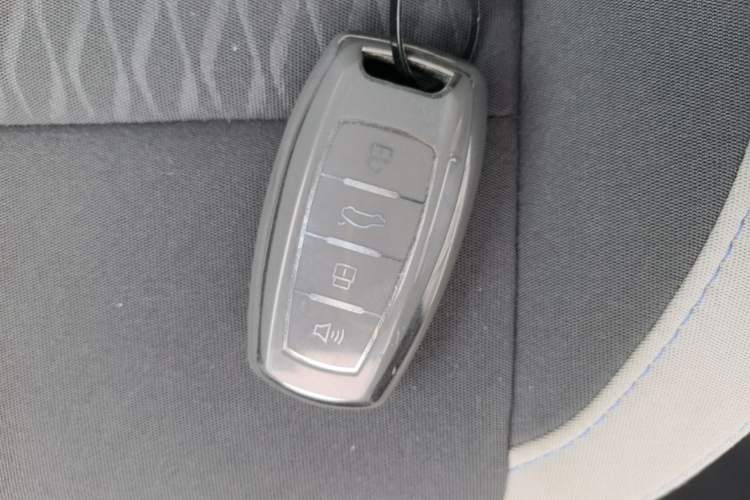 Used ORA Black Cat 2021 301 km Basic Version Vehicle Key
