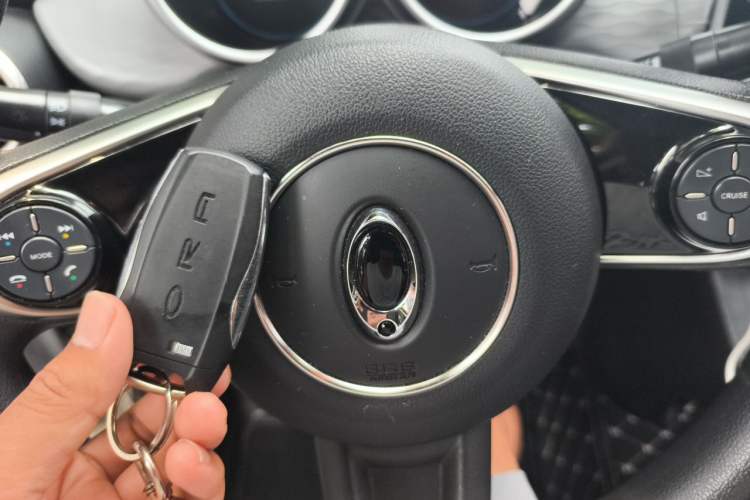 Used ORA Black Cat 2021 301 km Basic Version Vehicle Key