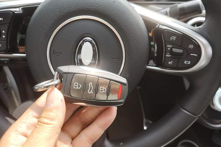 Used ORA Black Cat 2021 351 km Luxury Version Vehicle Key