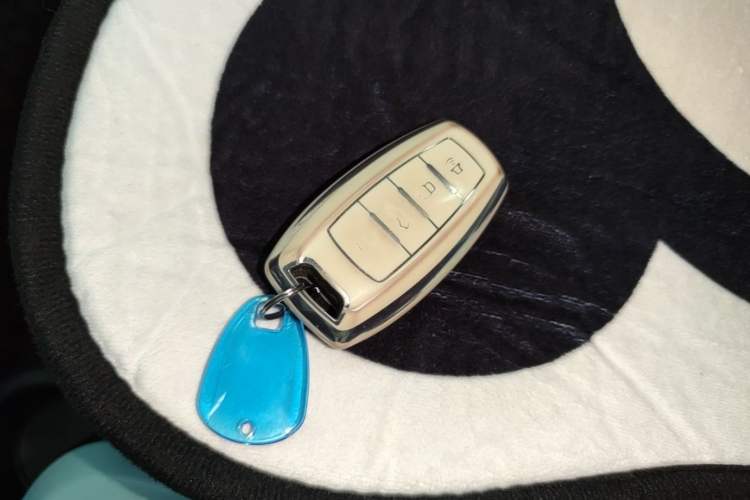 Used ORA Black Cat 2021 351 km Luxury Version Vehicle Key
