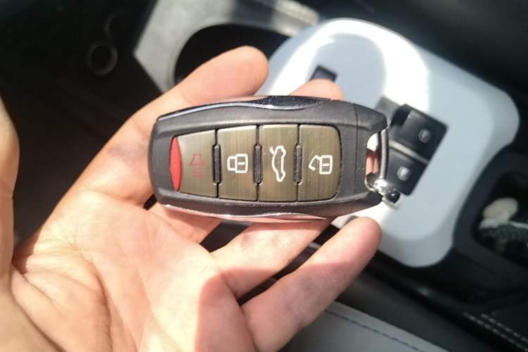 Used ORA Black Cat 2021 301 km Basic Version Vehicle Key