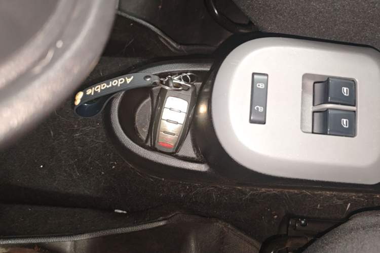 Used ORA Black Cat 2021 301 km Basic Version Vehicle Key