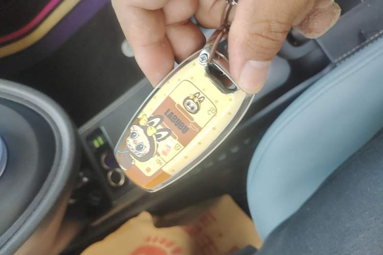 Used ORA Black Cat 2021 301 km Basic Version Vehicle Key