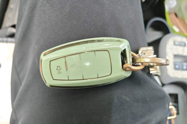 Used ORA Black Cat 2021 351 km Luxury Version Vehicle Key