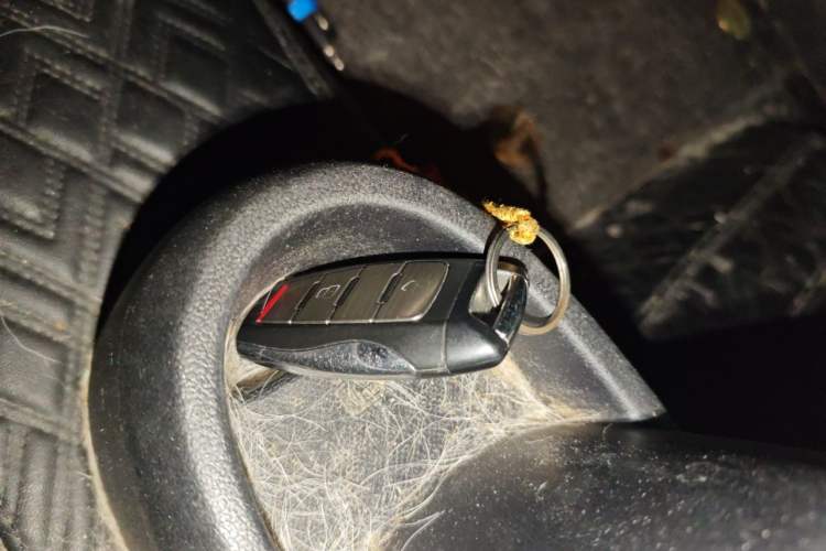 Used ORA Black Cat 2021 301 km Basic Version Vehicle Key