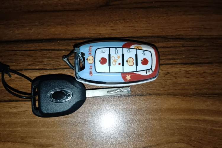Used ORA Black Cat 2021 301km Cute Pet Edition Vehicle Key