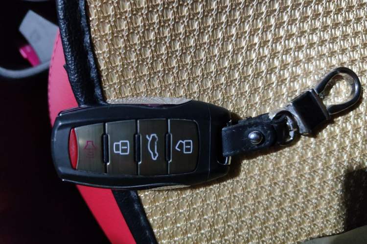 Used ORA Black Cat 2021 351 km Luxury Version Vehicle Key