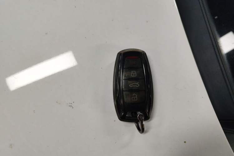 Used ORA Black Cat 2021 301 km Basic Version Vehicle Key