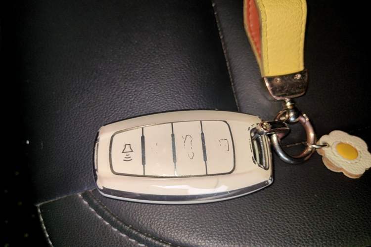 Used ORA Black Cat 2021 351 km Standard Version Vehicle Key