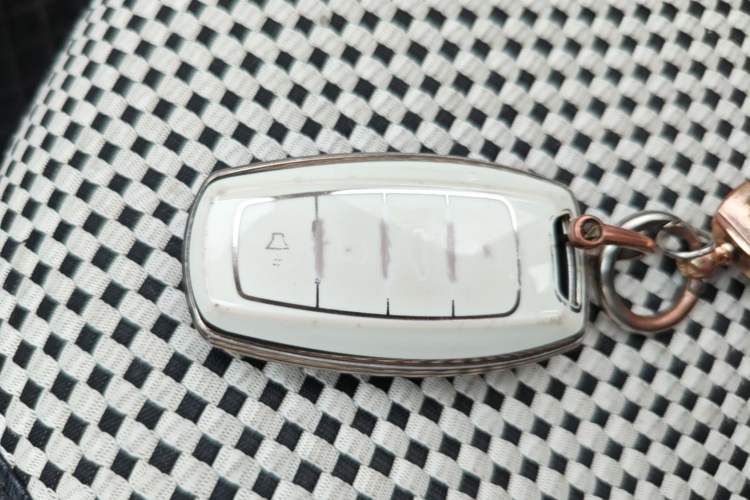 Used ORA Black Cat 2021 351 km Standard Version Vehicle Key