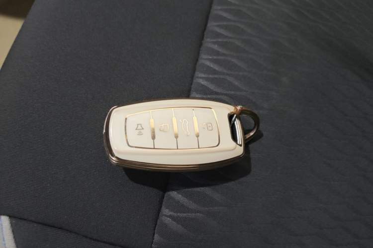 Used ORA Black Cat 2021 301 km Basic Version Vehicle Key