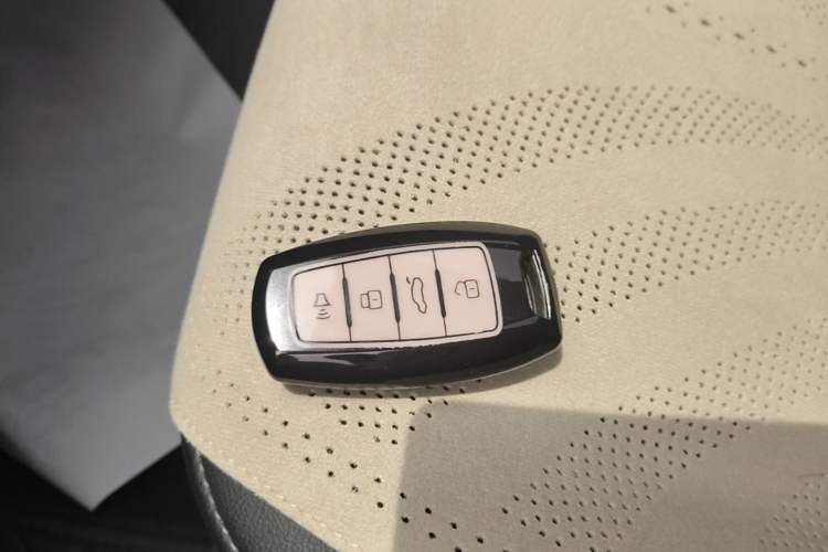 Used ORA Black Cat 2021 351 km Standard Version Vehicle Key