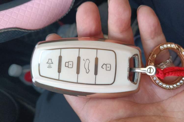 Used ORA Black Cat 2021 301 km Basic Version Vehicle Key
