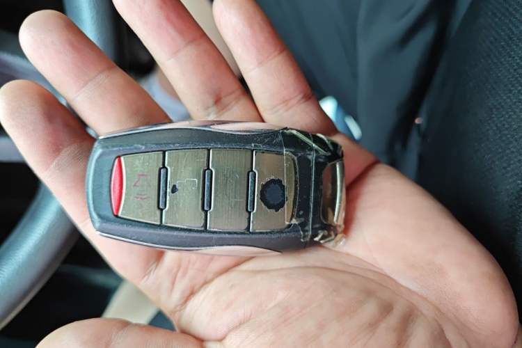 Used ORA Black Cat 2021 301 km Basic Version Vehicle Key