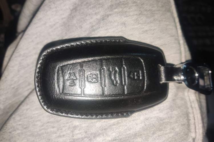 Used ORA Black Cat 2021 301 km Basic Version Vehicle Key