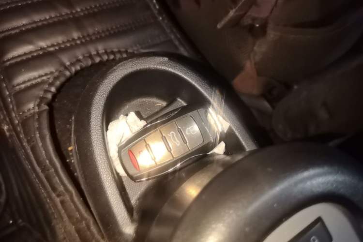 Used ORA Black Cat 2021 301 km Basic Version Vehicle Key