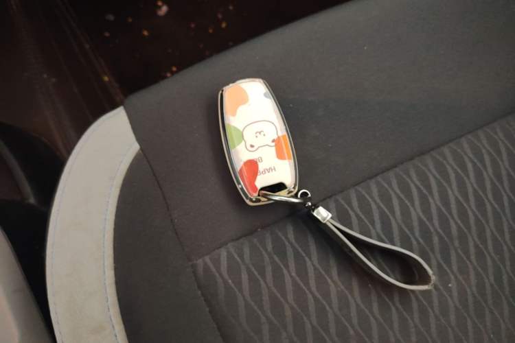 Used ORA Black Cat 2021 351 km Luxury Version Vehicle Key