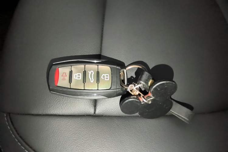 Used ORA Black Cat 2021 351 km Standard Version Vehicle Key