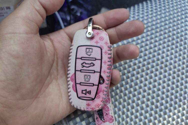 Used ORA Black Cat 2021 351 km Standard Version Vehicle Key