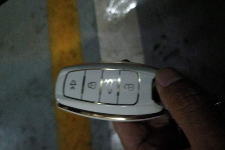 Used ORA Black Cat 2021 351 km Luxury Version Vehicle Key