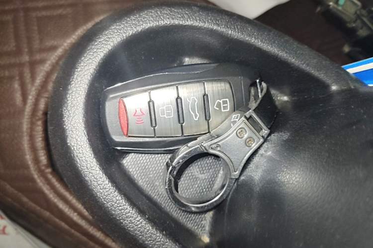 Used ORA Black Cat 2021 301 km Basic Version Vehicle Key