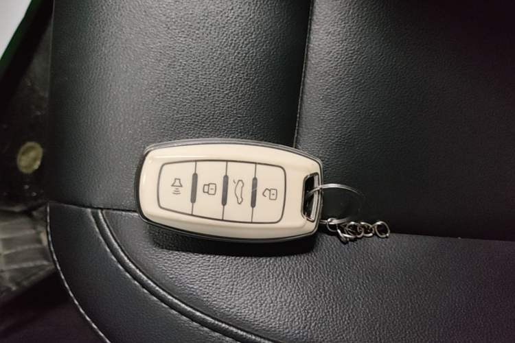 Used ORA Black Cat 2021 351 km Standard Version Vehicle Key