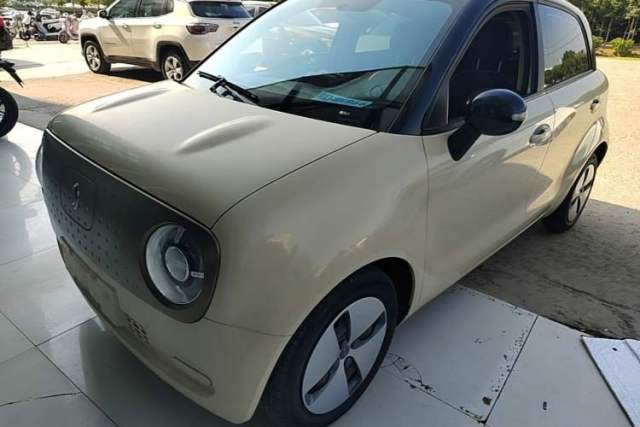 ORA Black Cat 2021 301 km Basic Version usata