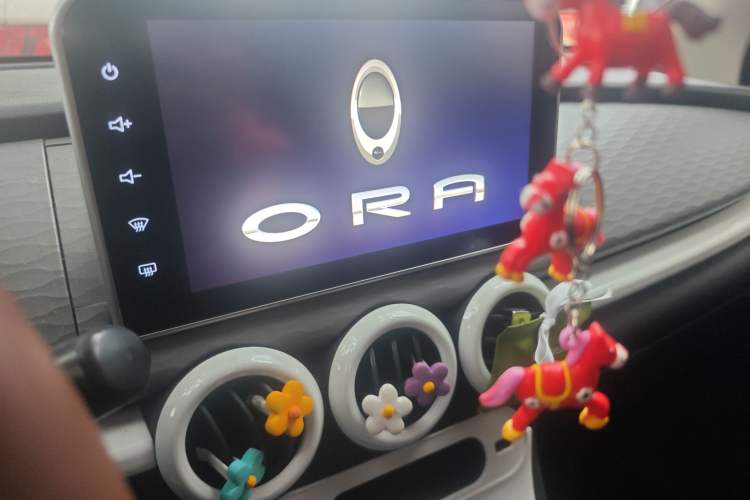 Used ORA Black Cat 2021 351 km Luxury Version Audio And AC Panel