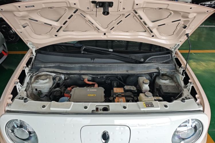 Used ORA Black Cat 2021 351 km Luxury Version Engine Bay