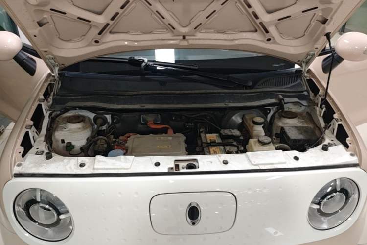 Used ORA Black Cat 2021 351 km Luxury Version Engine Bay