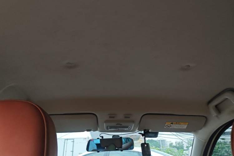 Used ORA Black Cat 2021 301 km Basic Version Headliner