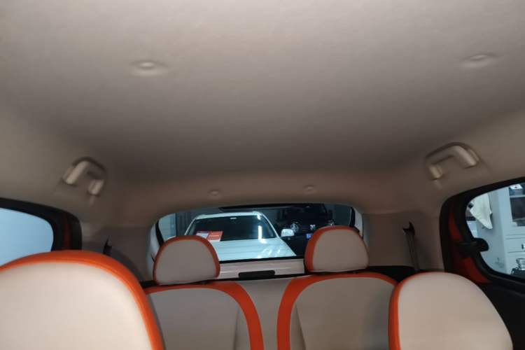 Used ORA Black Cat 2021 351 km Luxury Version Headliner