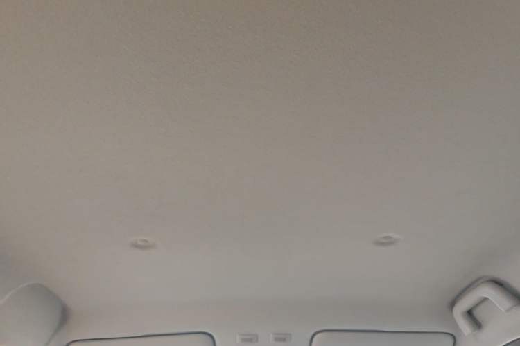 Used ORA Black Cat 2021 301km Cute Pet Edition Headliner