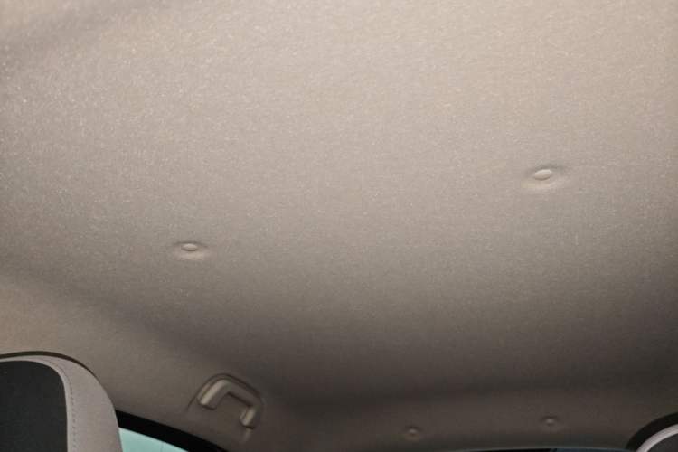 Used ORA Black Cat 2021 351 km Luxury Version Headliner