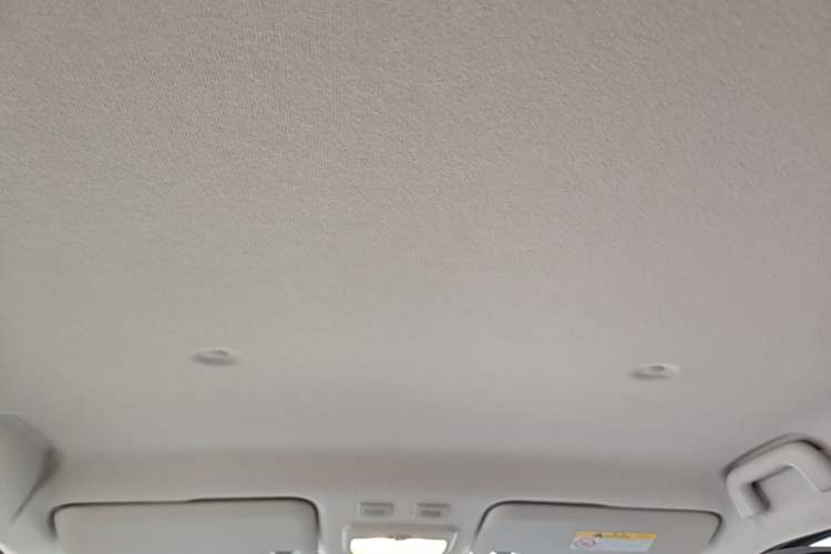 Used ORA Black Cat 2021 351 km Standard Version Headliner