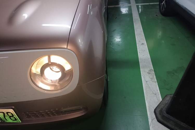 Used ORA Black Cat 2021 351 km Luxury Version Left Front Headlight