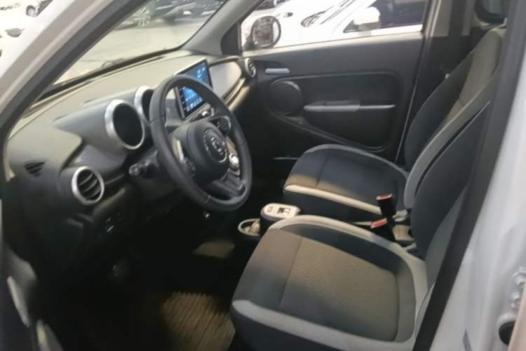Used ORA Black Cat 2021 351 km Luxury Version Left Front Seat