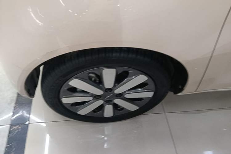 Used ORA Black Cat 2021 351 km Luxury Version Left Front Wheel Hub