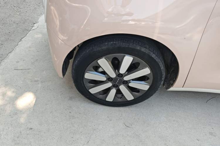 Used ORA Black Cat 2021 351 km Luxury Version Left Front Wheel Hub