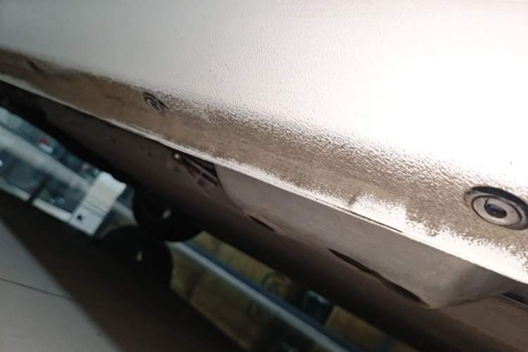 Used ORA Black Cat 2021 351 km Luxury Version Left Side Sill